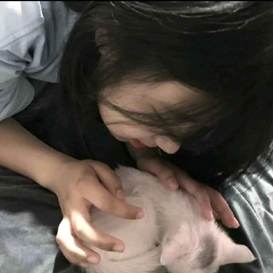 爱吃香菜、