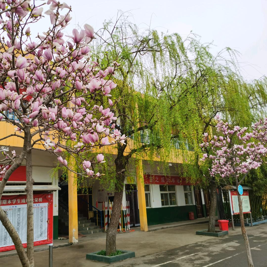 王寨乡第三初级中学