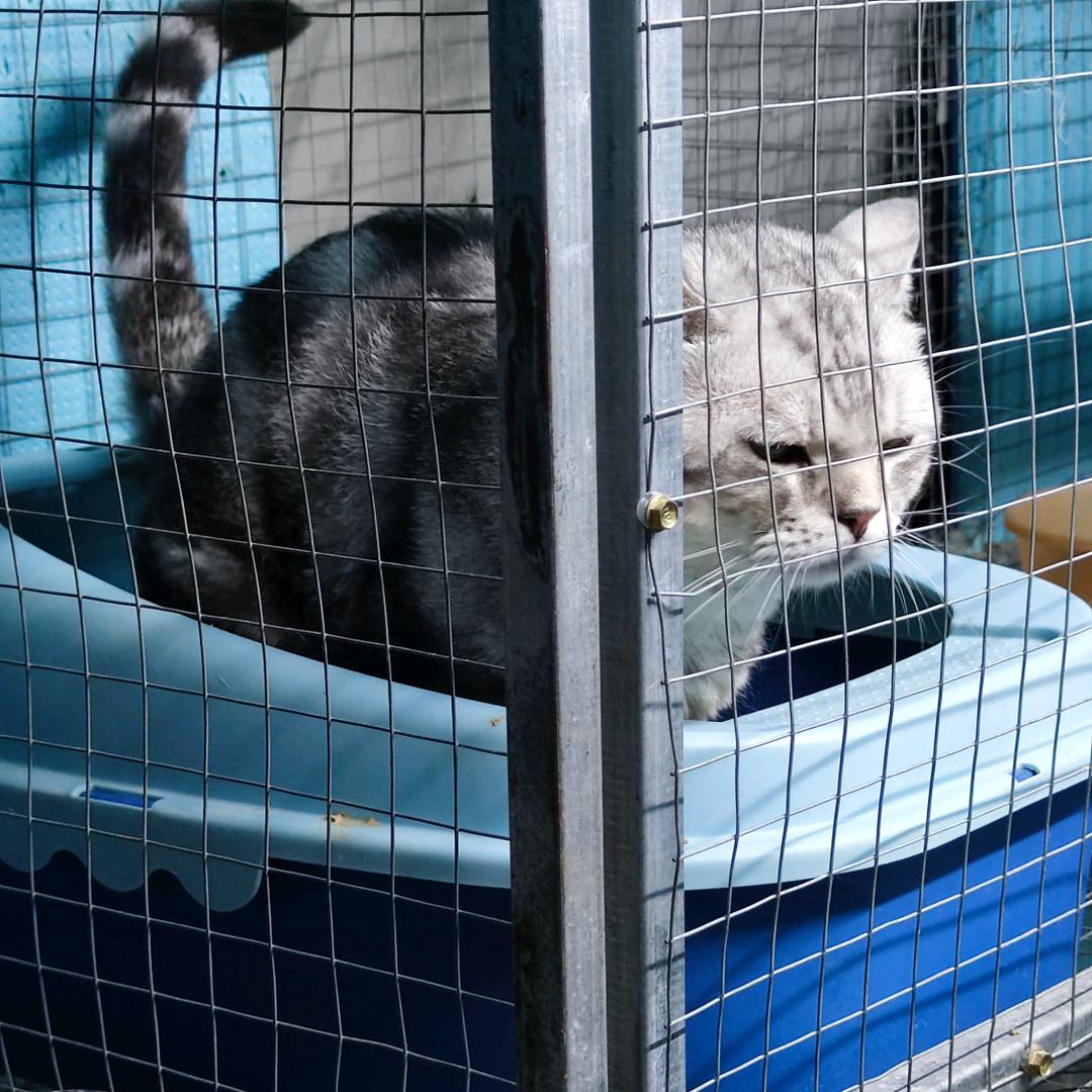 唔好甘在意个名