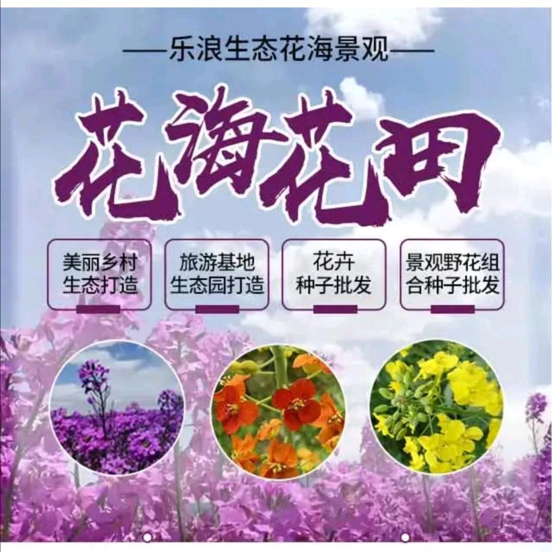 花海打造-花海设计院