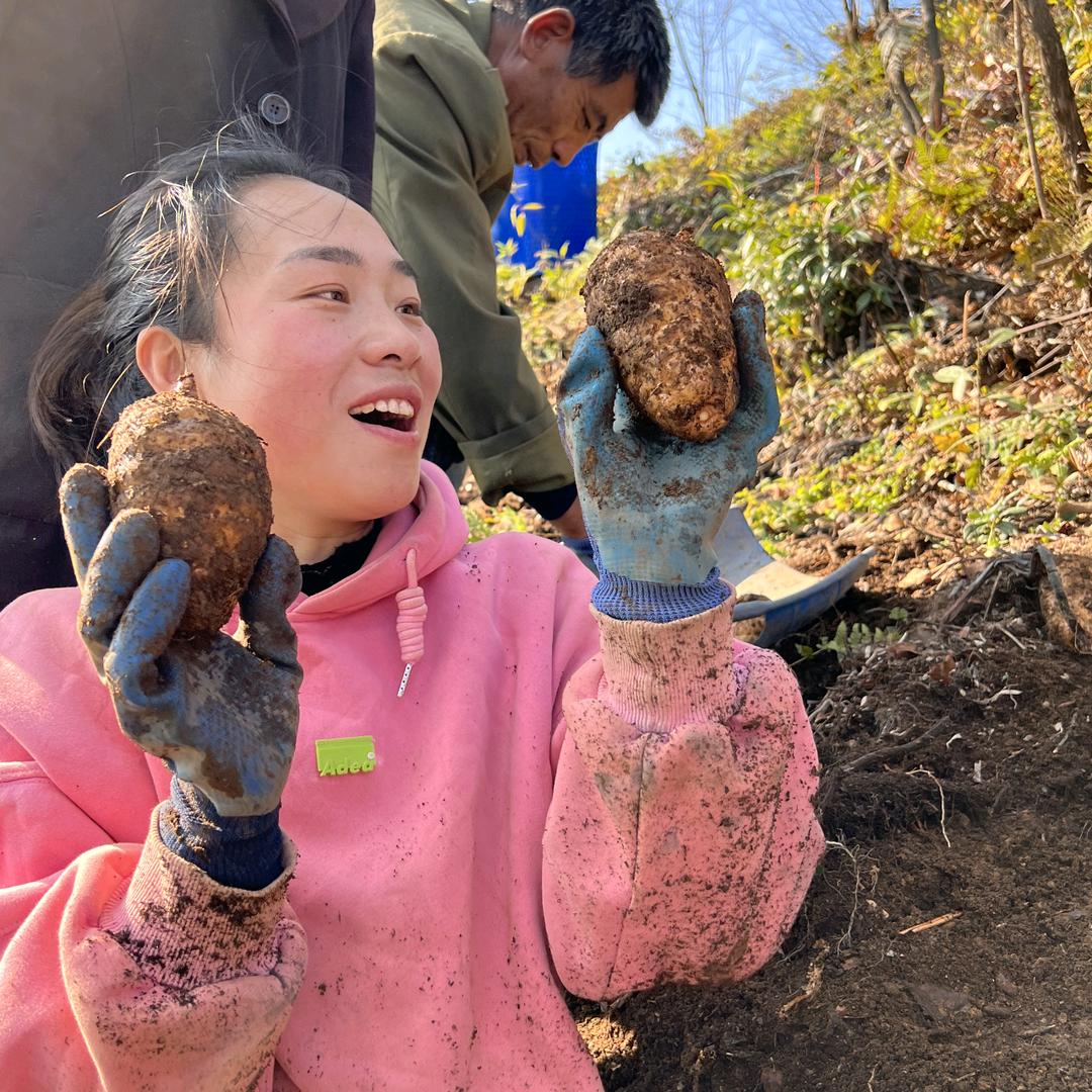 @小二妹（云南山货）