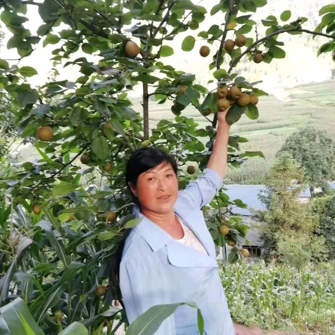 王开心1