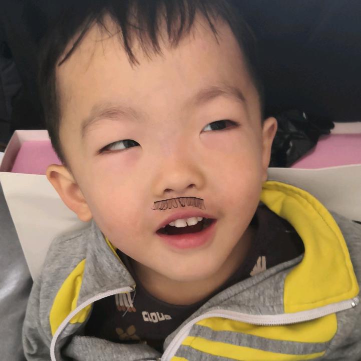 清风抚月