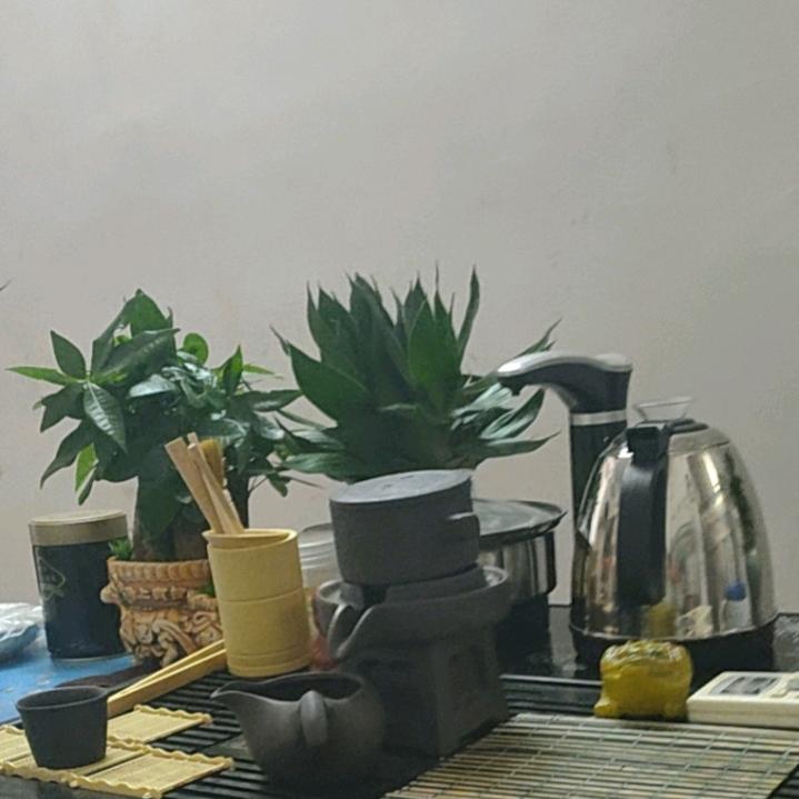 一切如云烟