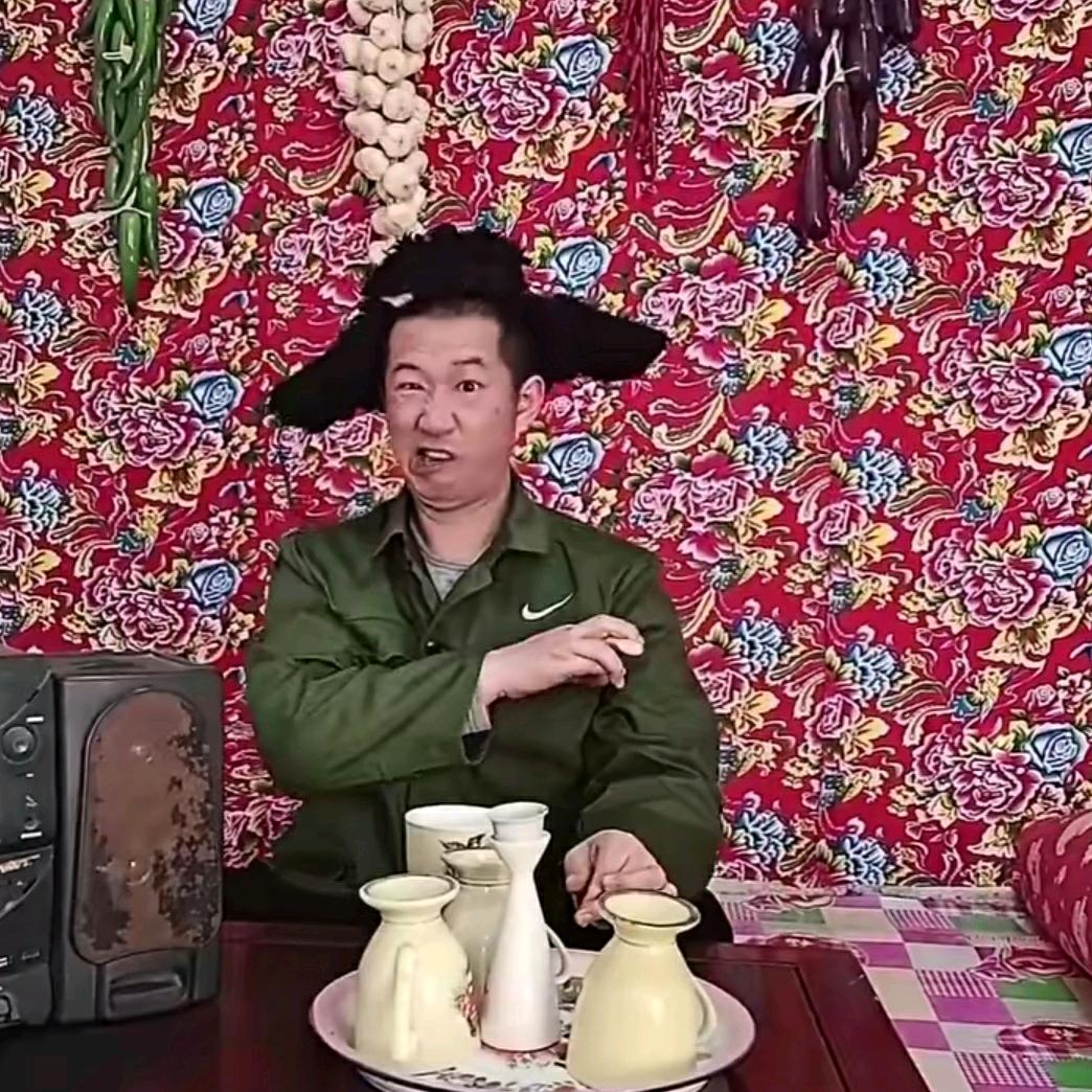 东北搞笑（大君）