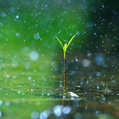 小雨爱分享商品在橱窗