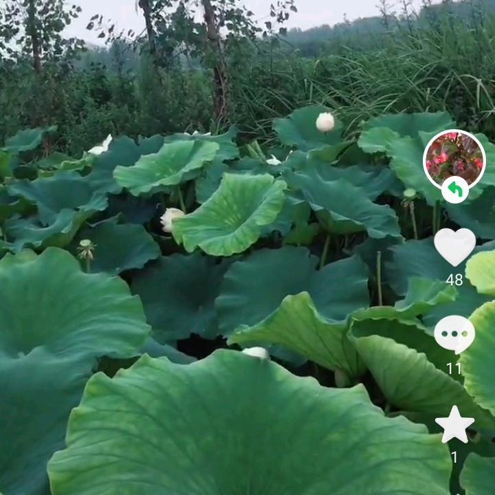 月亮之上