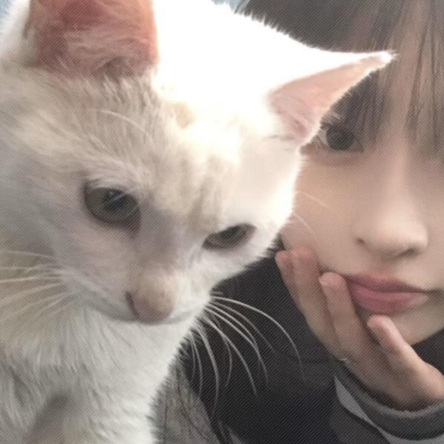 叾