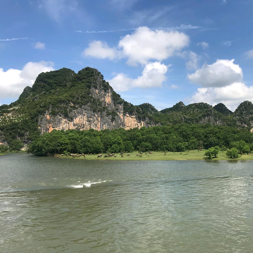 无忧甄选