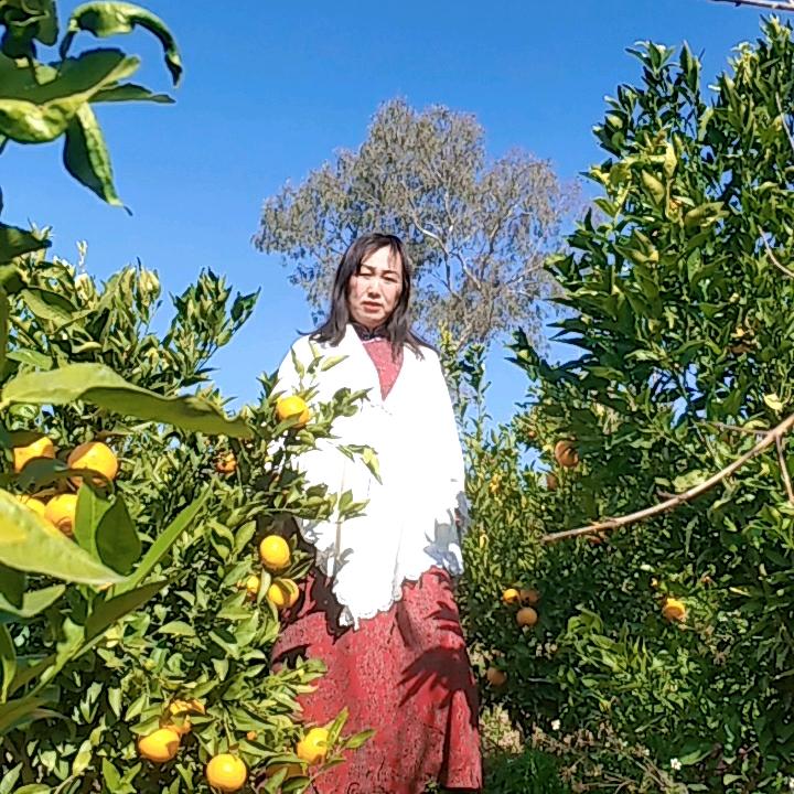 石榴妹
