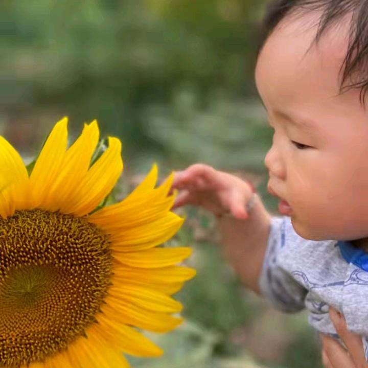 经典音乐
