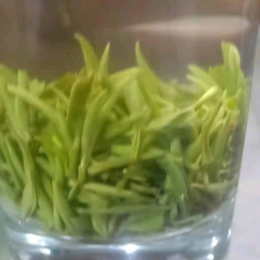 裕民茶业  潘哥