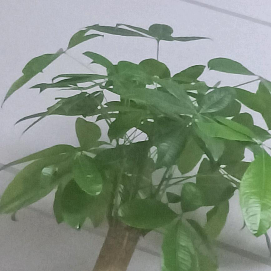 手机用户59649631582