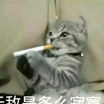 @蜜蜂哥之采花大盗