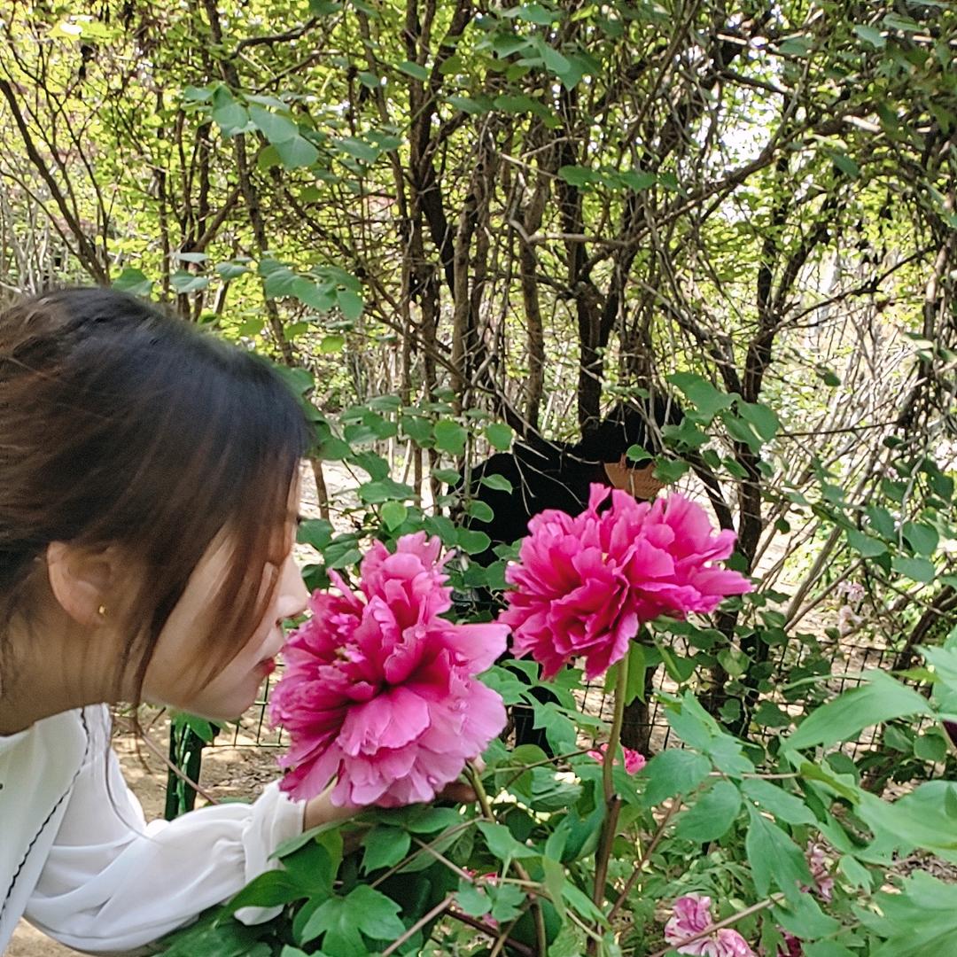 @@@雨后彩虹