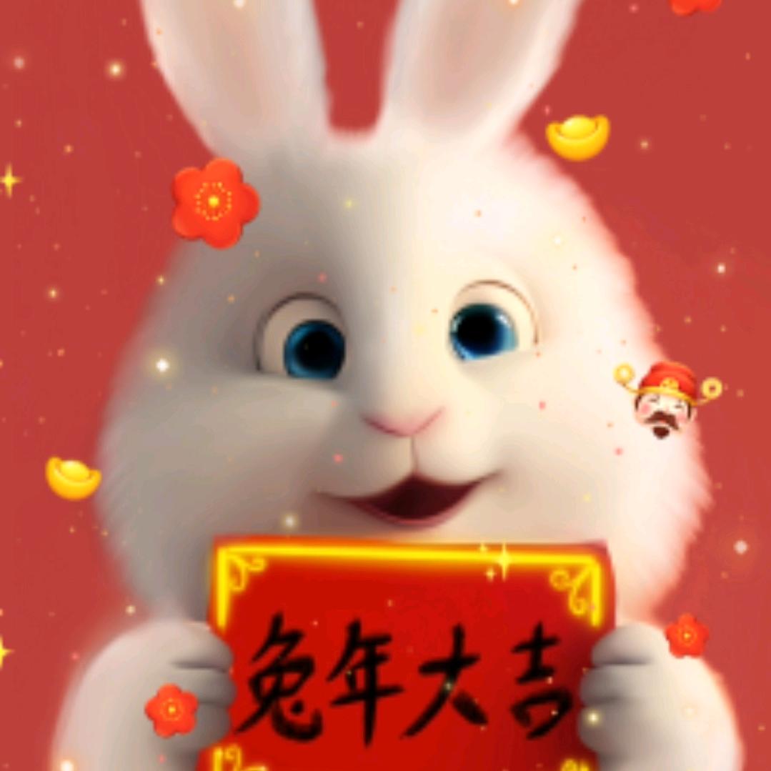 🇨🇳🇨🇳🐇