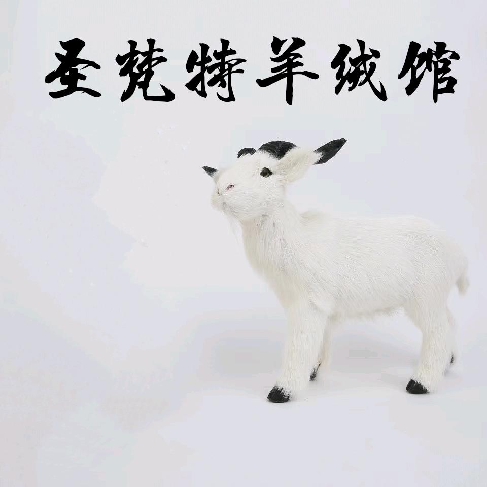 鄂尔多斯圣梵特羊绒批发