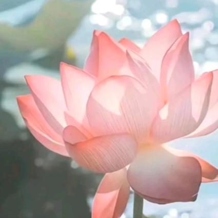 清水流深