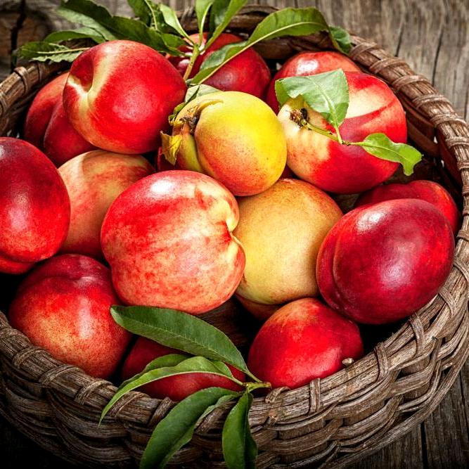 运城军豪水果代办