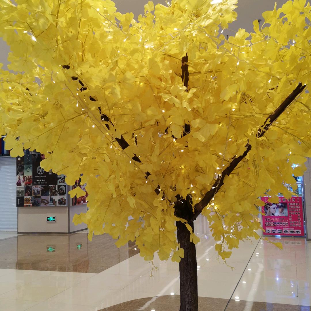 情为何物？張姐