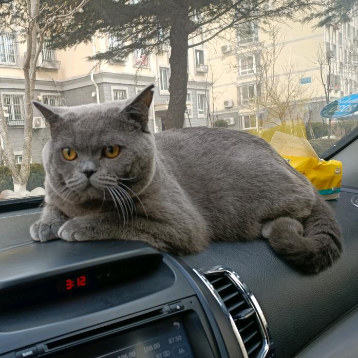 稳住 未来依旧可期