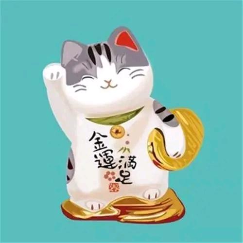 章肥肥头像