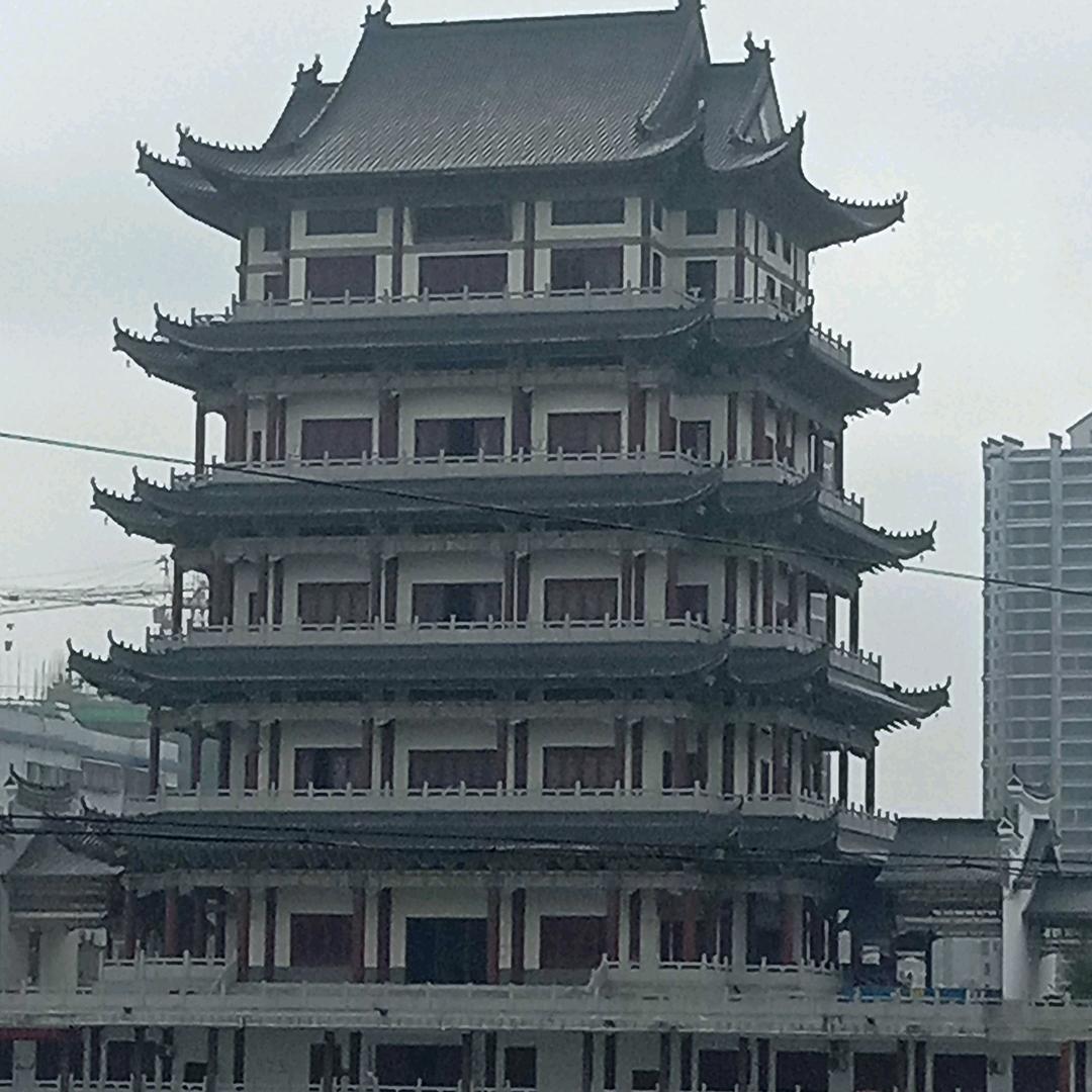 同是天崖独孤74