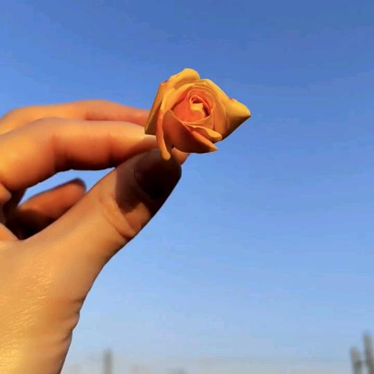 纳就行动