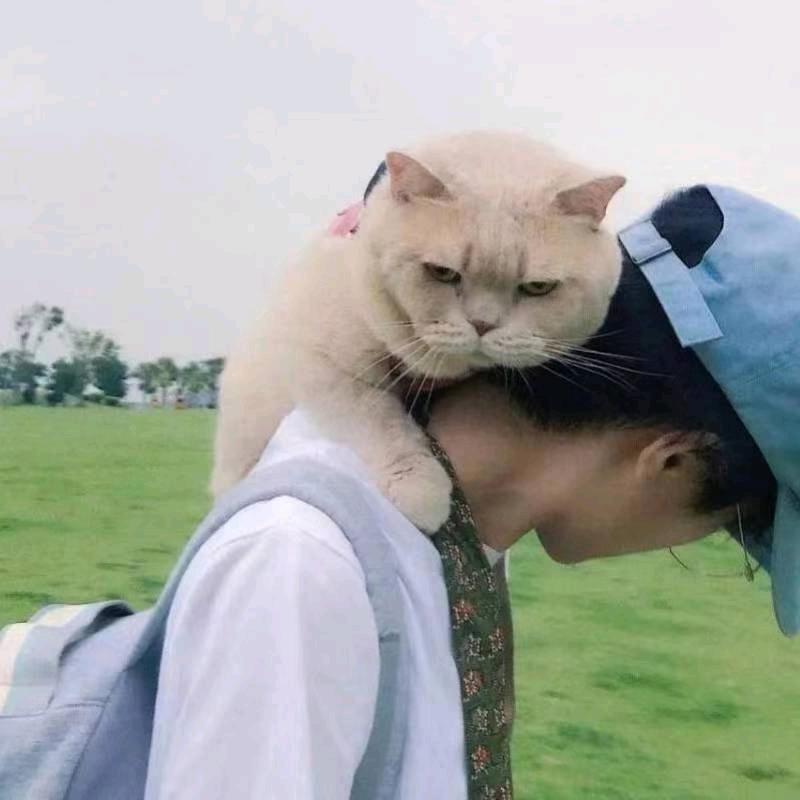 🌈所谓自由🌈🦁