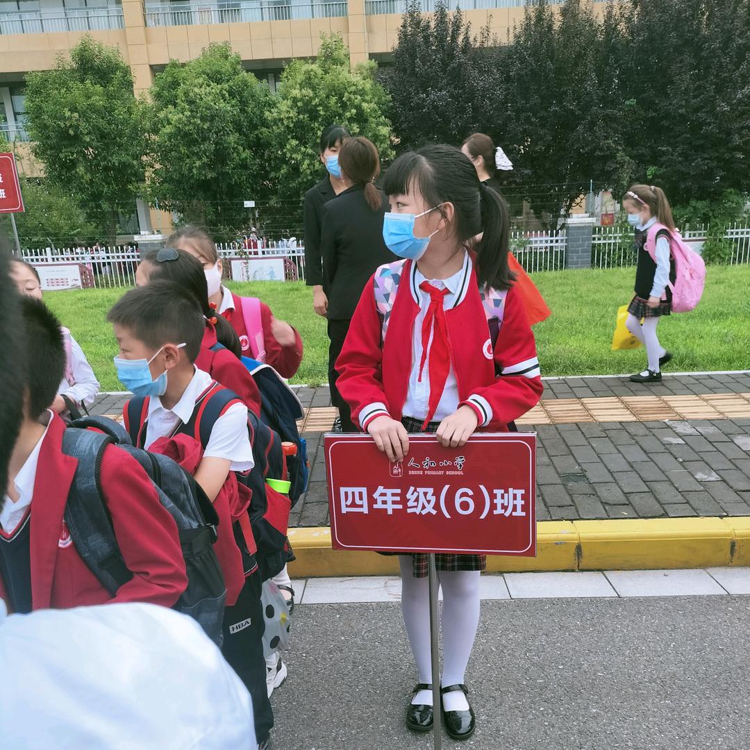 蒲公英的梦想