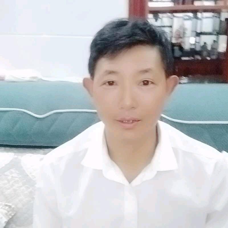 梦在明天（陈）