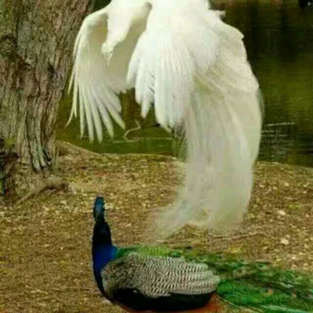 奋斗