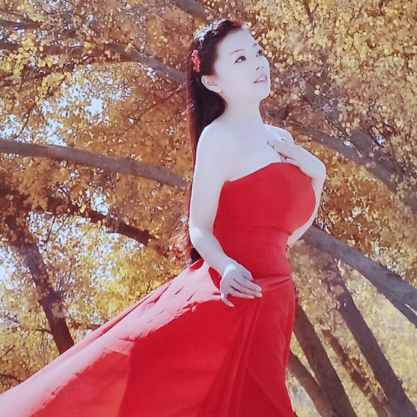 燕子   🍎