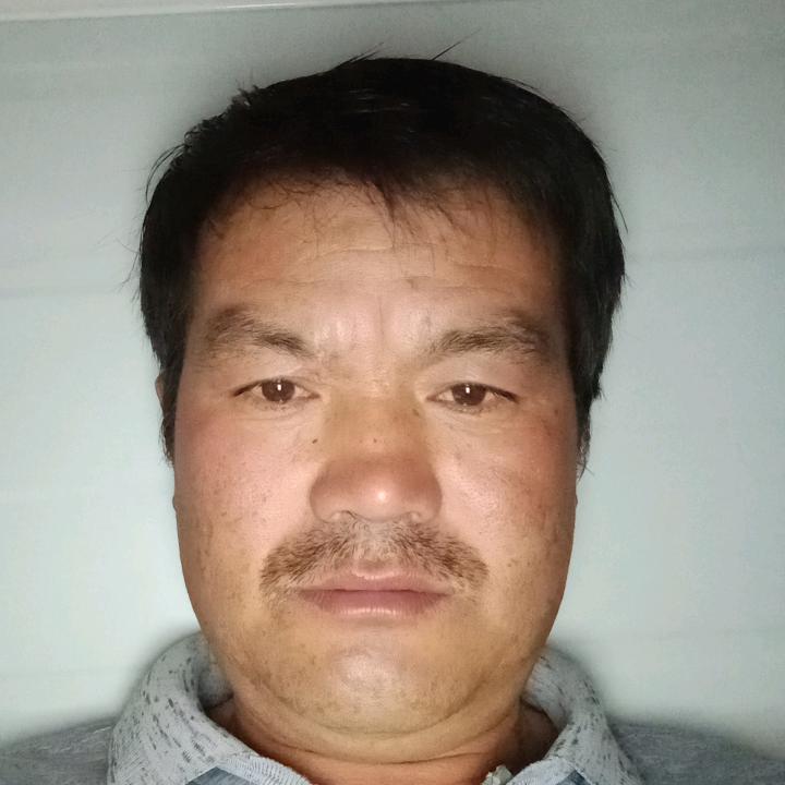老实人