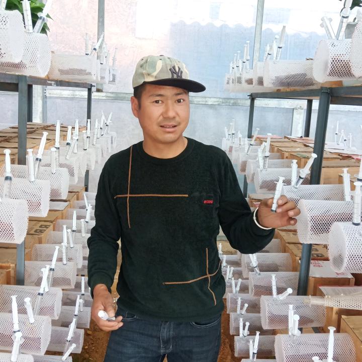 情在人間