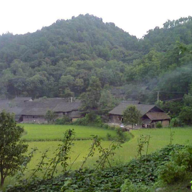 鱼水坪