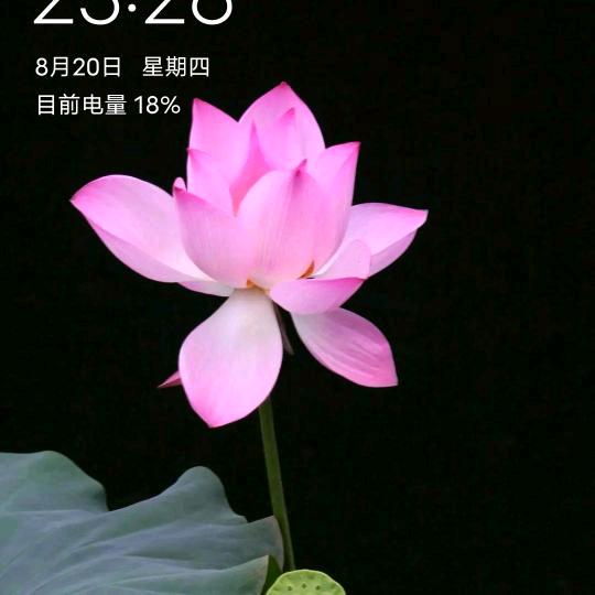 心静则安