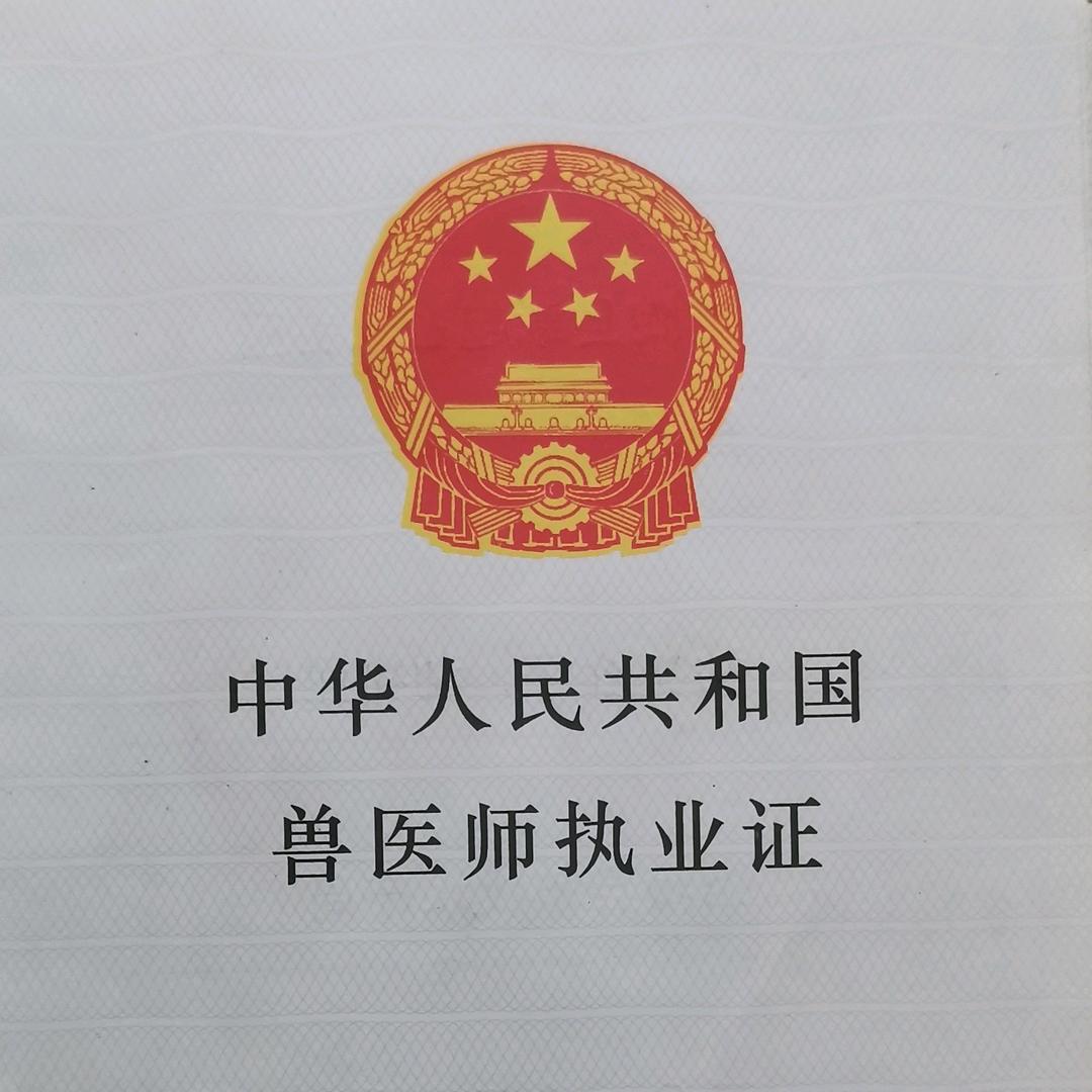 佳人幸福