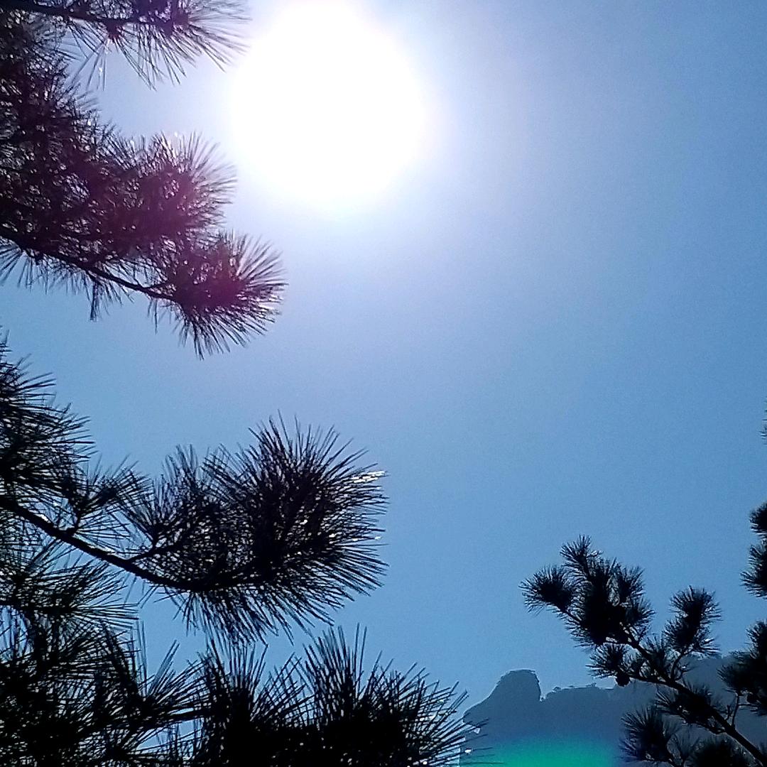 勇闯天涯✌