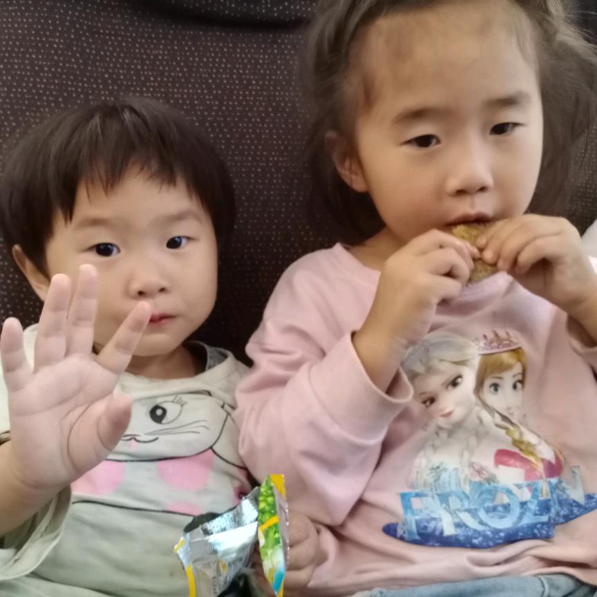 Ac妮儿（橱窗以开）