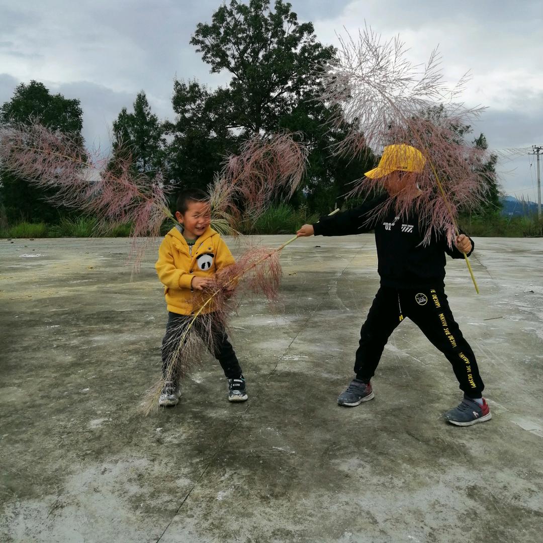 无🌸果