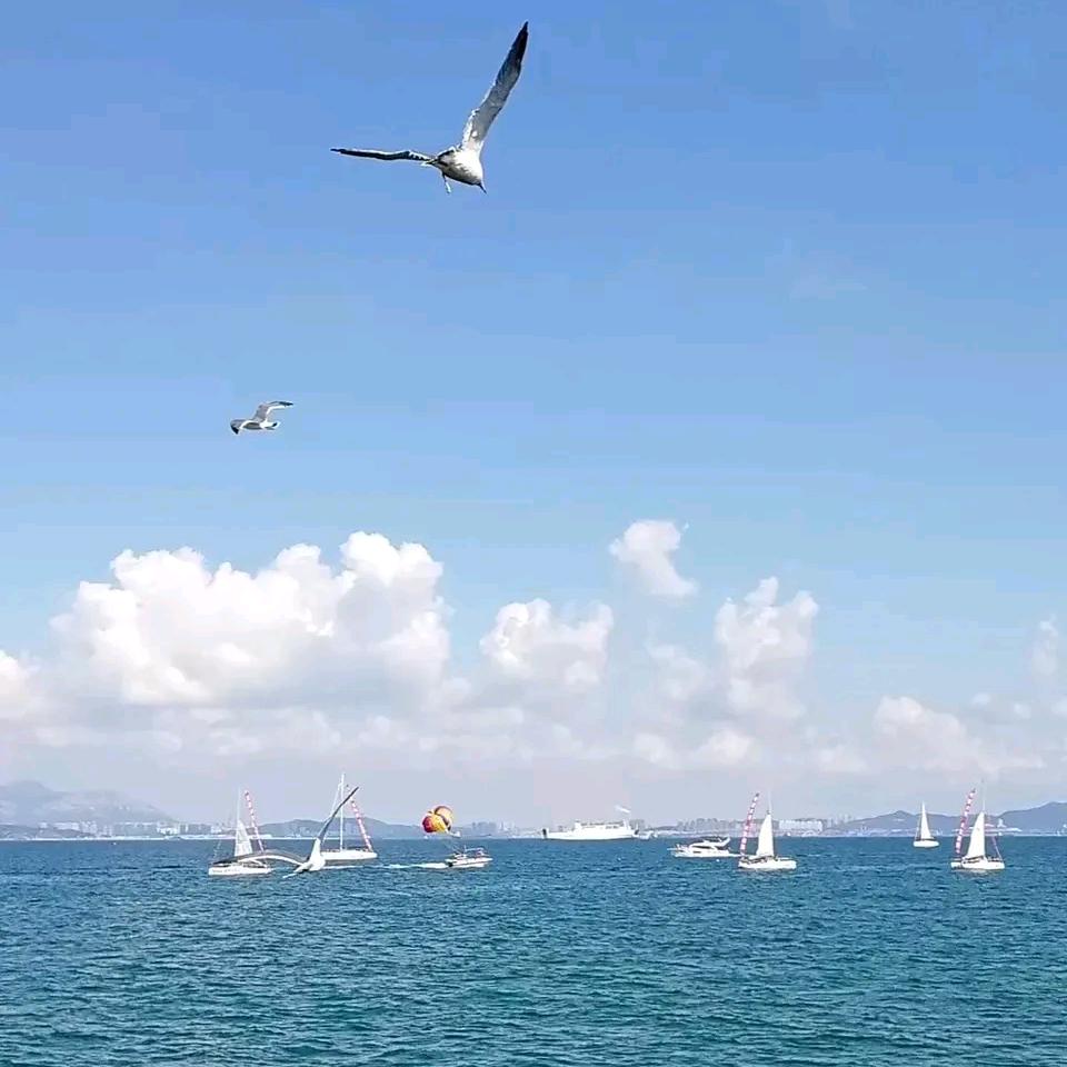 东方会计微课堂