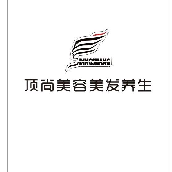 顶尚美容美发养生官方号