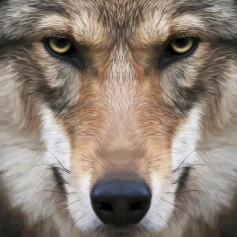 我在时间尽头等你