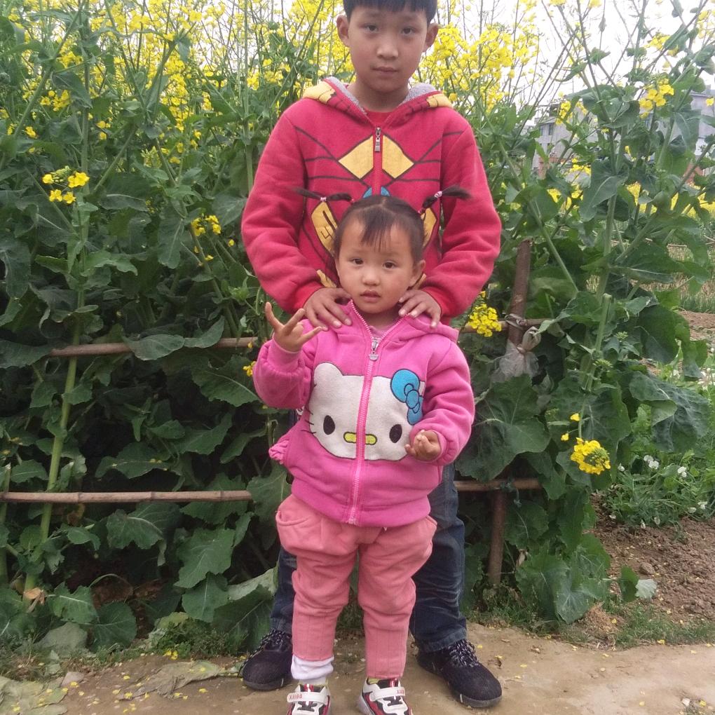 李涛