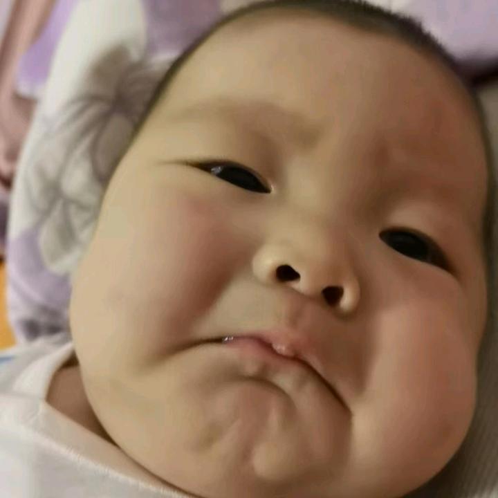 张狮子手擀面昕九五饺子坊东疆亲海公园店