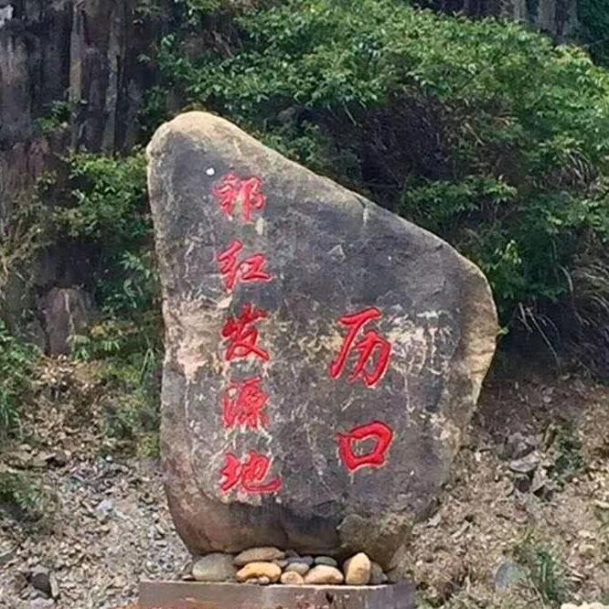 历水源祁门红茶