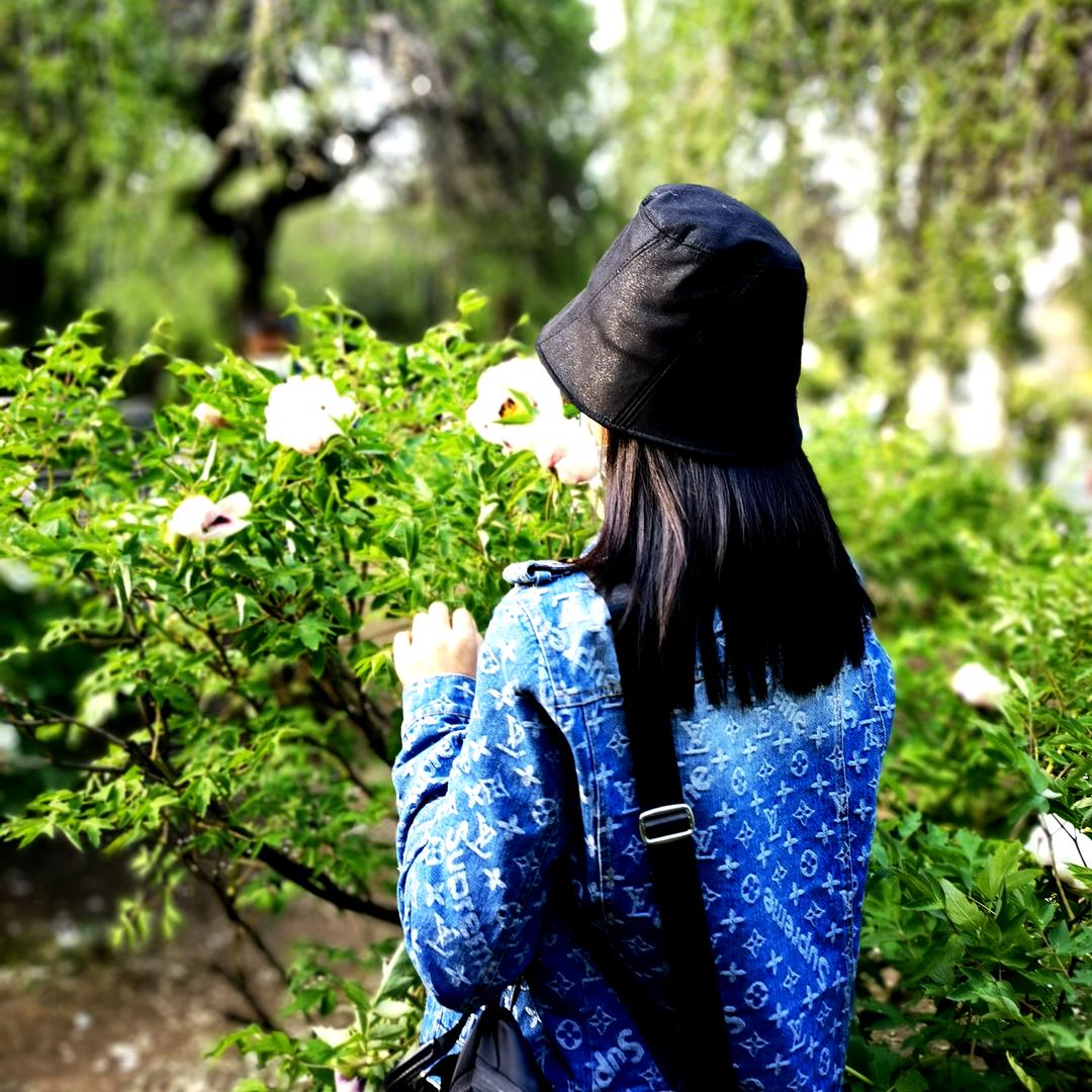 吉林阿兰