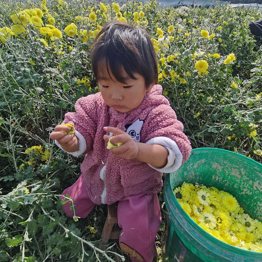 李家三少