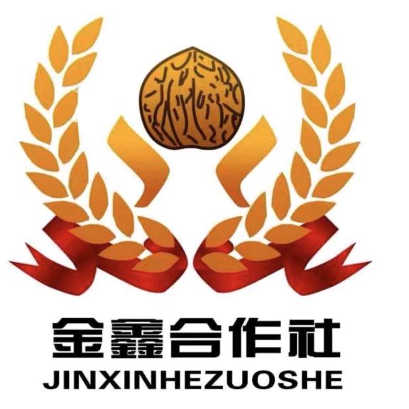 涞水鑫鑫核桃